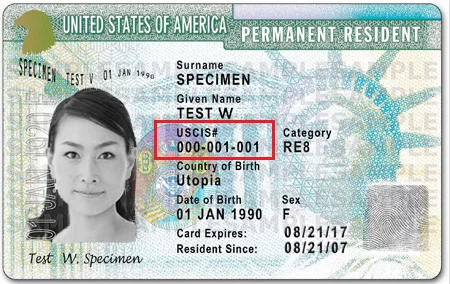 Where Is My Alien Registration Number Or A Number Usa