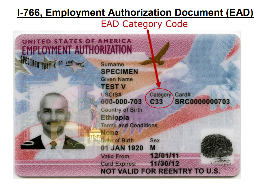 USCIS Employment Authorization Card EAD Category Codes - USA