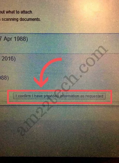 Information Provided Button Missing In Immiaccount After Co Contact Australia