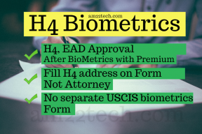 H4 Biometric experience