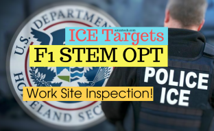 ICE targets F1 stem OPT students