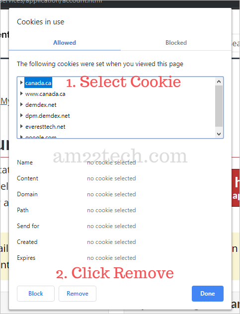 Delete all cookies on Canada CIC website