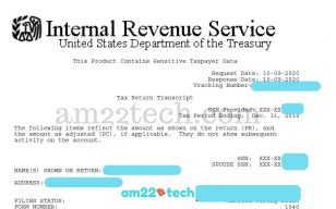 IRS return tax transcript sample