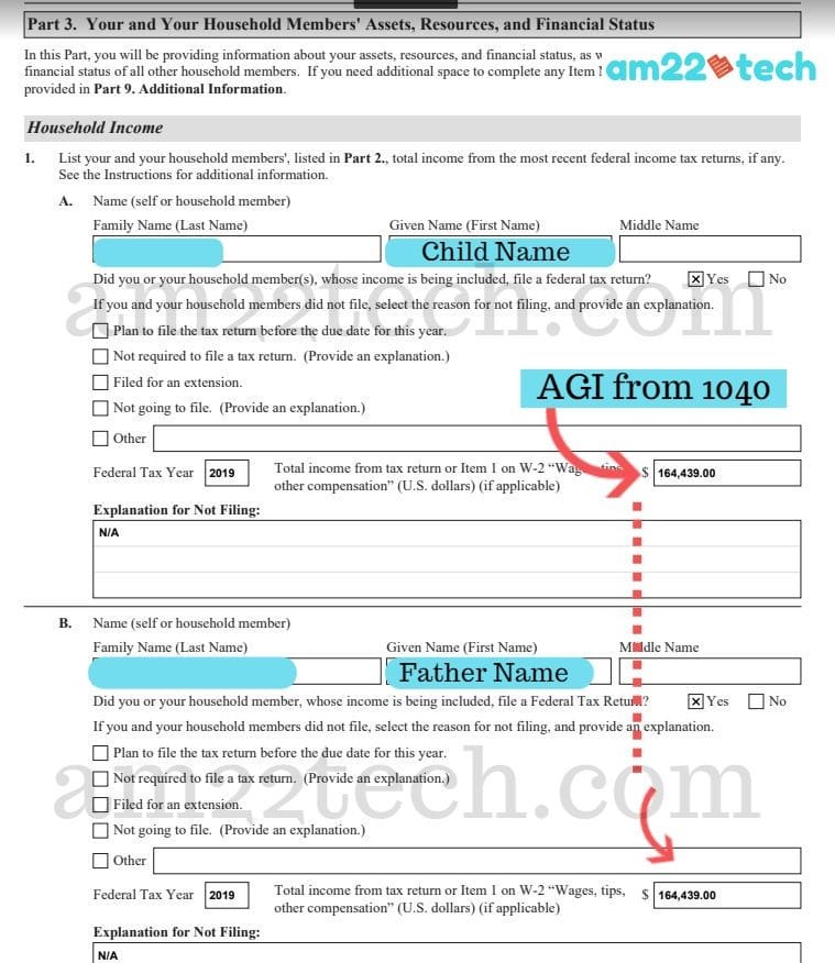 Form i-944 child household income
